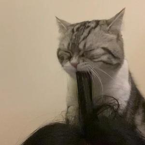 怮交小U女天堂AV
